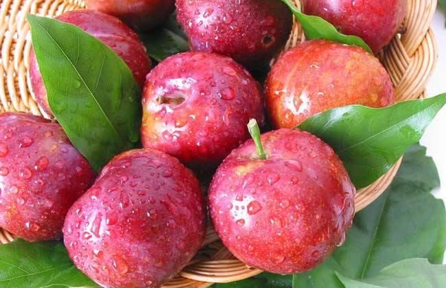 李子不能多吃是真的吗,李子不能多吃是吗