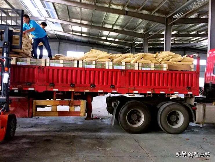 货运物流装卸工薪酬代发怎么合规发放