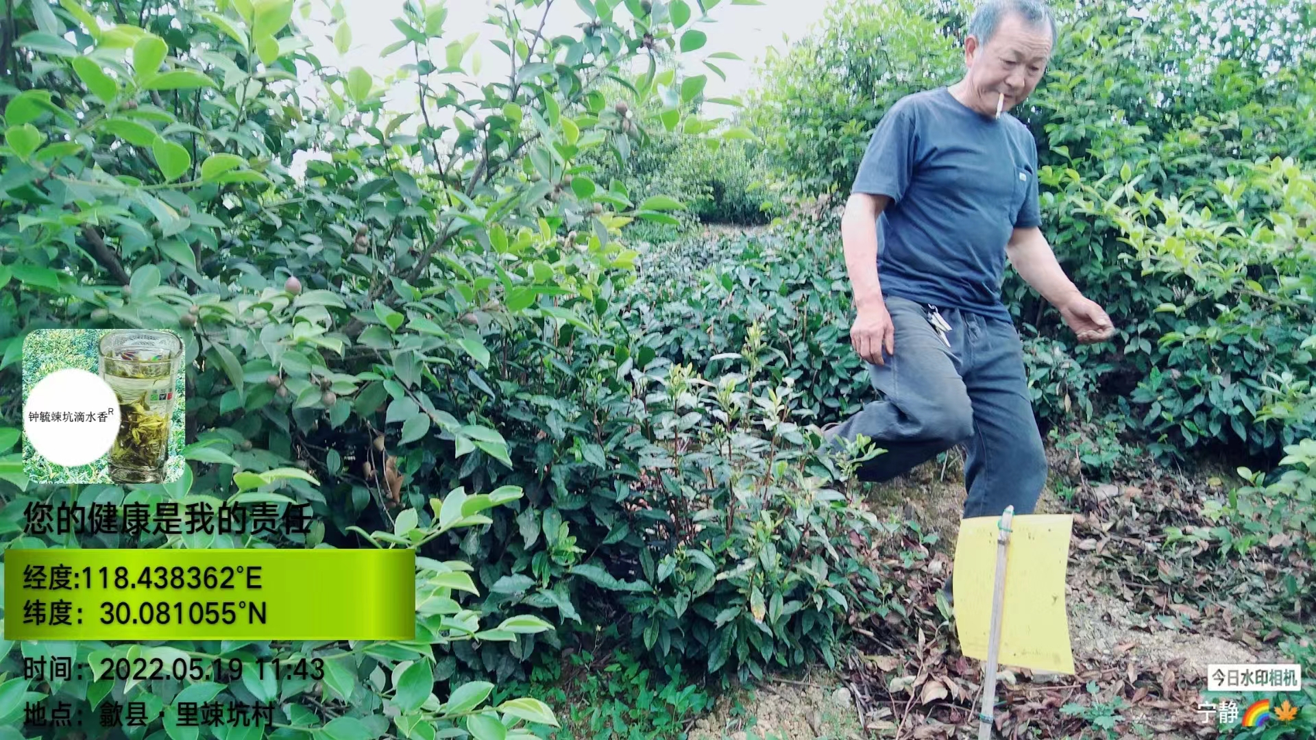 茶农张红英，别人从农村去城市，她却从城市回农村，只为种出好茶