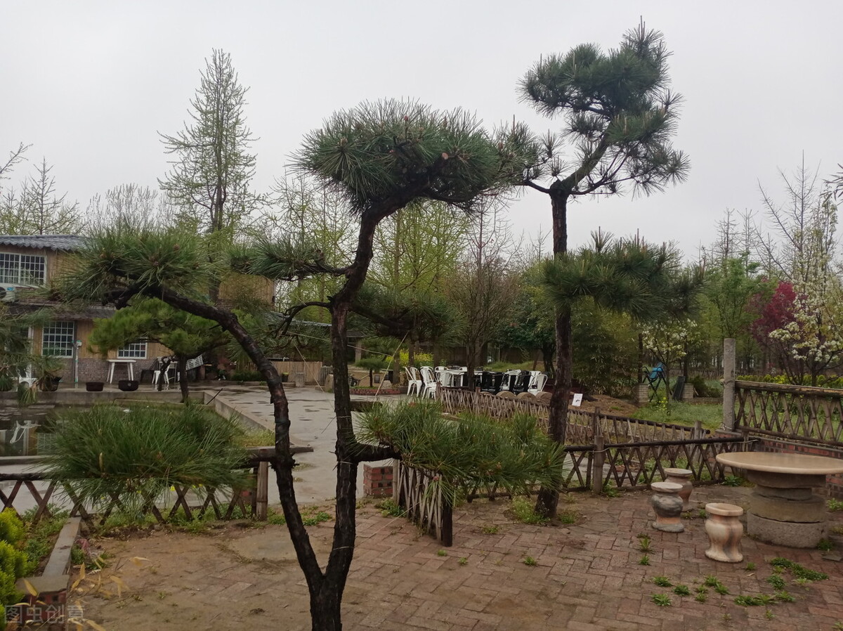 榛戞澗鐩嗘櫙鎬庝箞鍒朵綔閫犲瀷濂界湅 (榛戞澗灏忕泦鏅殑鍒朵綔鏂规硶鍥剧墖)