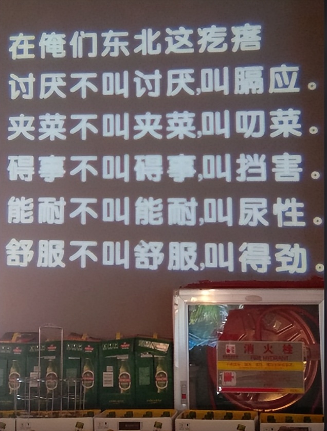 三亚东北话怎么说,三亚停车场东北方言标语