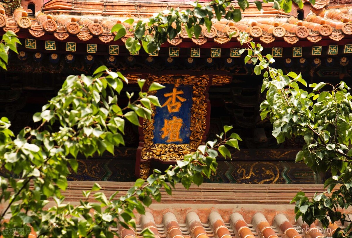 山东曲阜三孔攻略,游玩曲阜三孔景点攻略路线