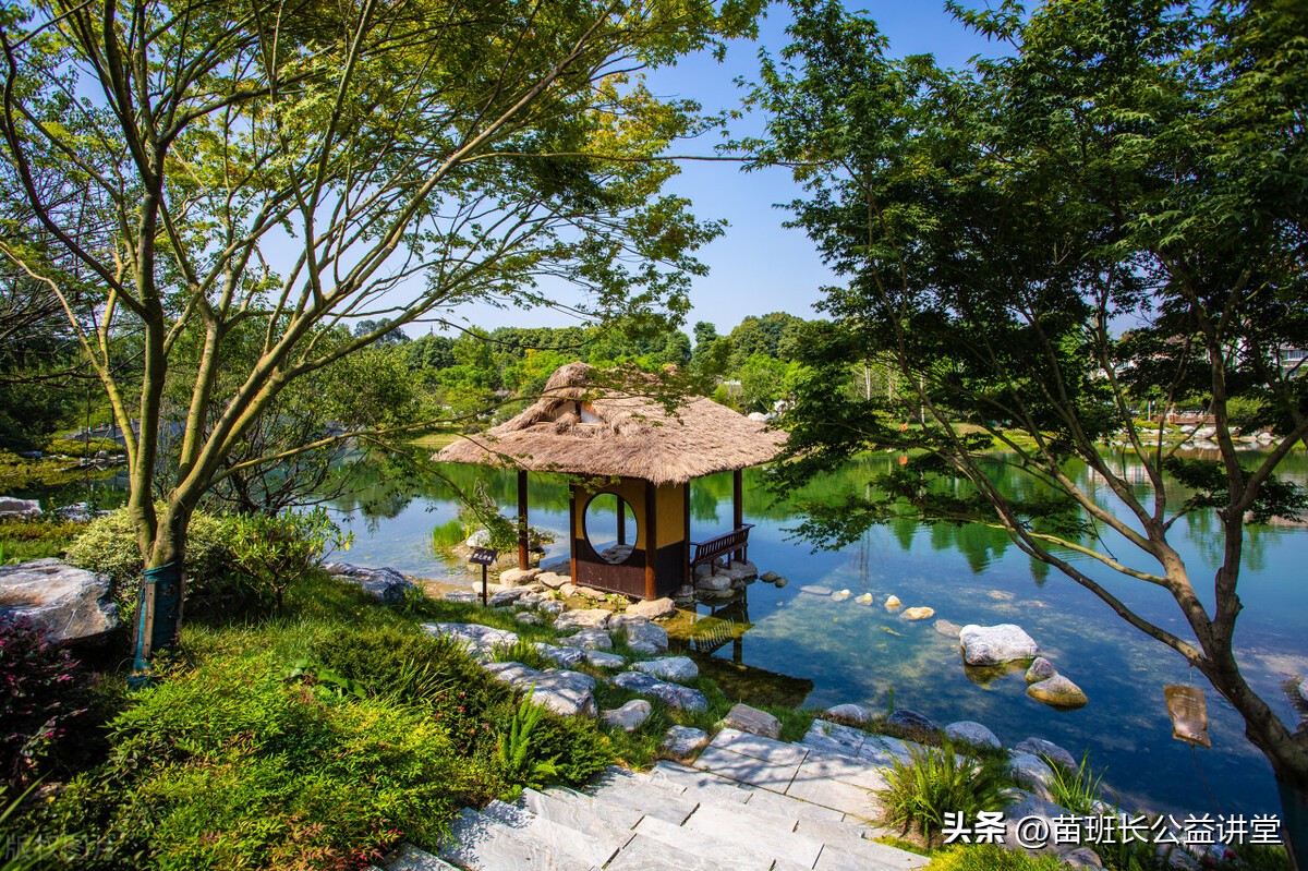 园林绿化有害生物防治操作规程,园林植保技术推广