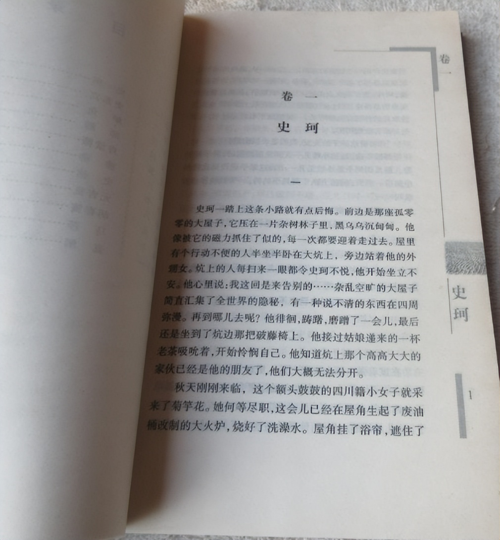 张炜小说《外省书》故事梗概：难以理喻的混乱故事