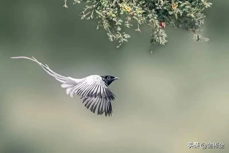 女朋友让交工资卡怎么回复,女朋友要求你上交工资是什么心理