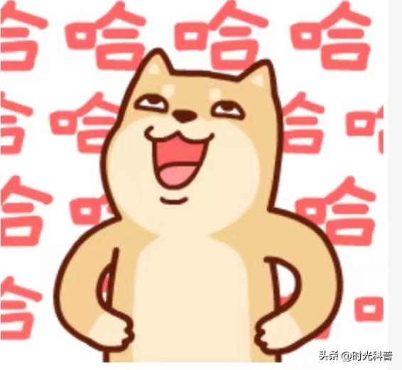 6个搞笑小故事让你笑得合不拢嘴,有深意又搞笑的小故事