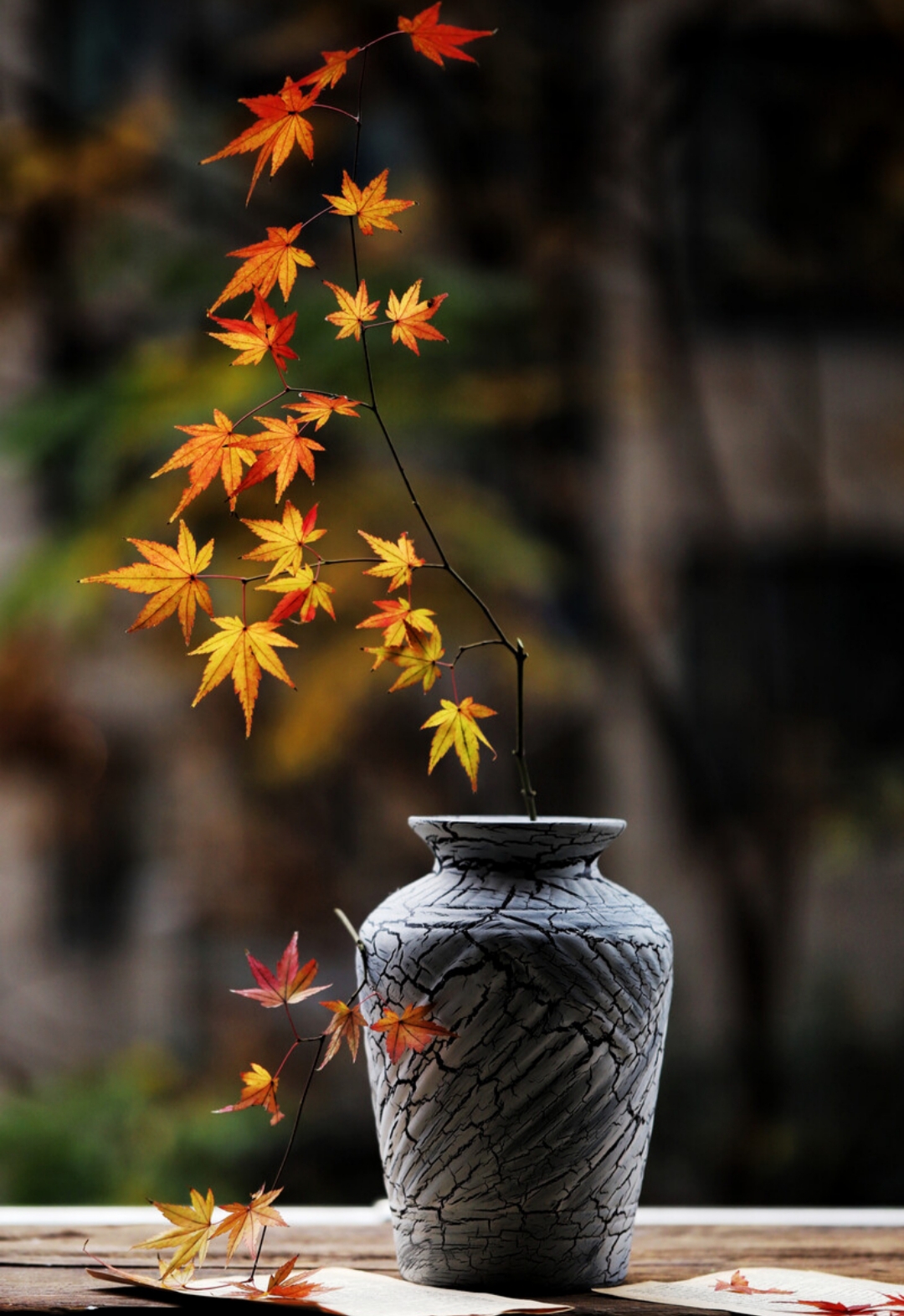六月再见七月你好忘掉该忘掉的人,六月再见七月你好不为往事忧