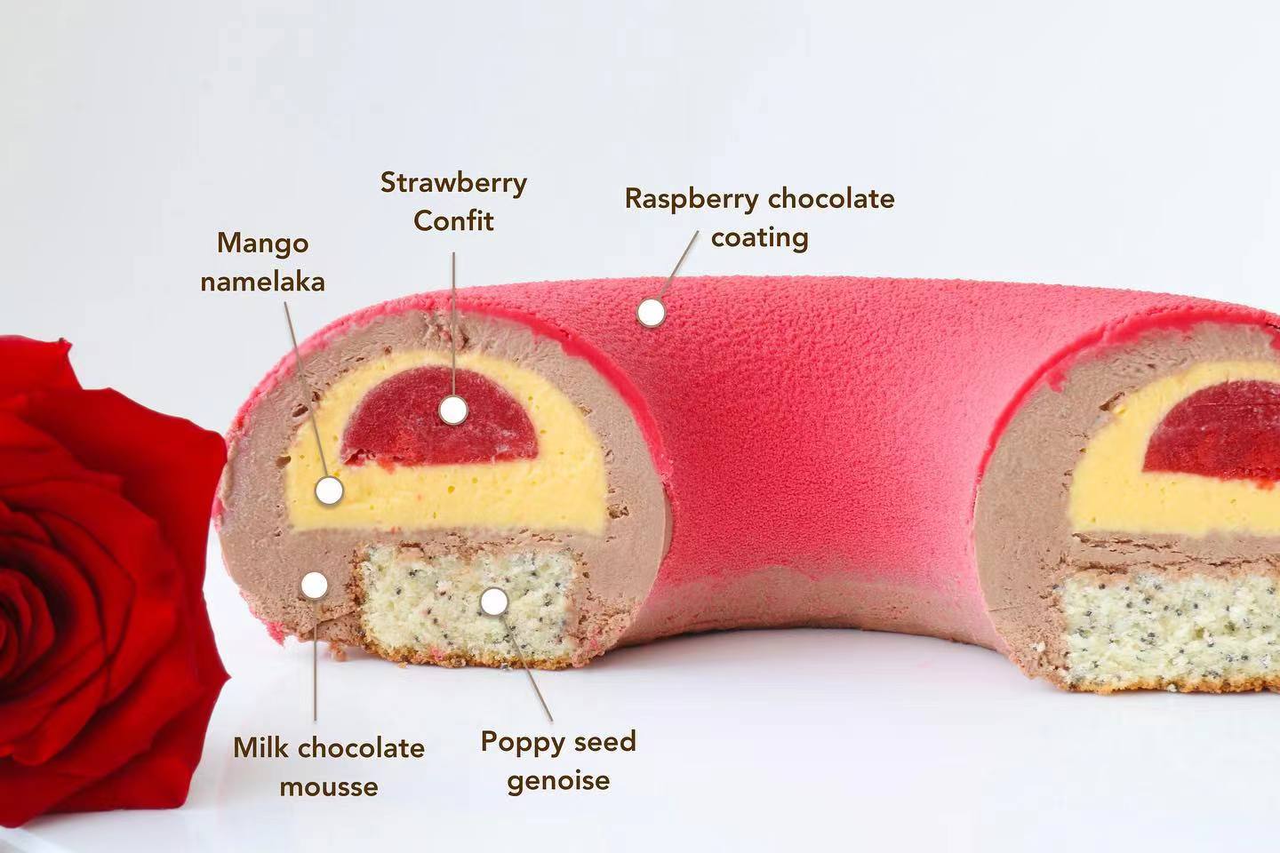 蛋糕切面,蛋糕两层夹心切面图片