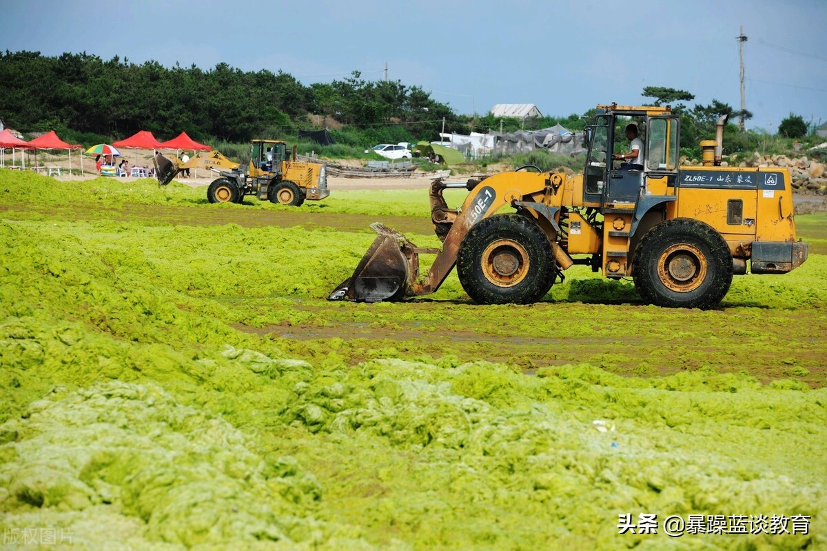 叉车和铲车是一个工种吗,装载机司机是什么工种