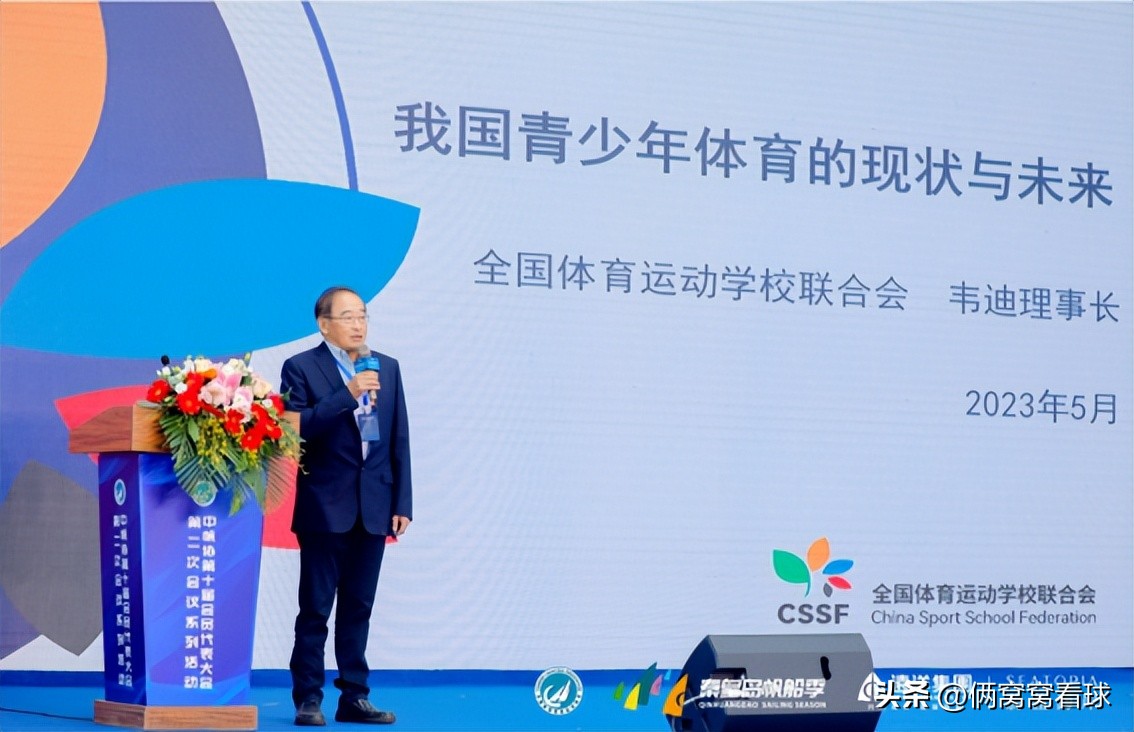 韦迪担任足协主席期间副主席是谁,韦迪中国足协党委书记