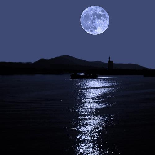 飞花令带有月字的诗句有哪些,飞花令月字诗词视频