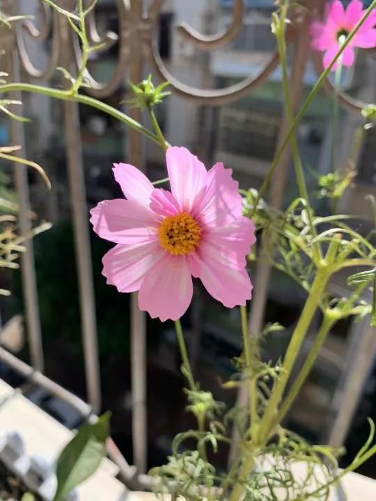 岁月斑驳留下来的都是静好时光,岁月斑驳愿时光静好