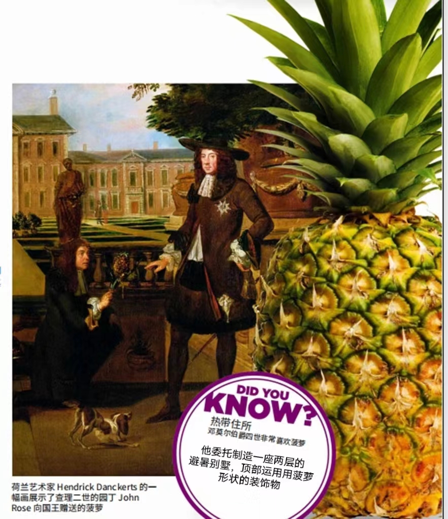 英国历史中7个象*地征**位的物品