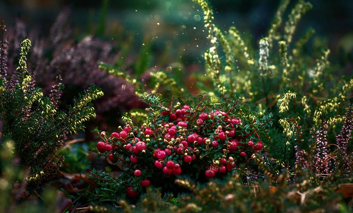 适合春夏的香水男士200,适合春夏的男士香水