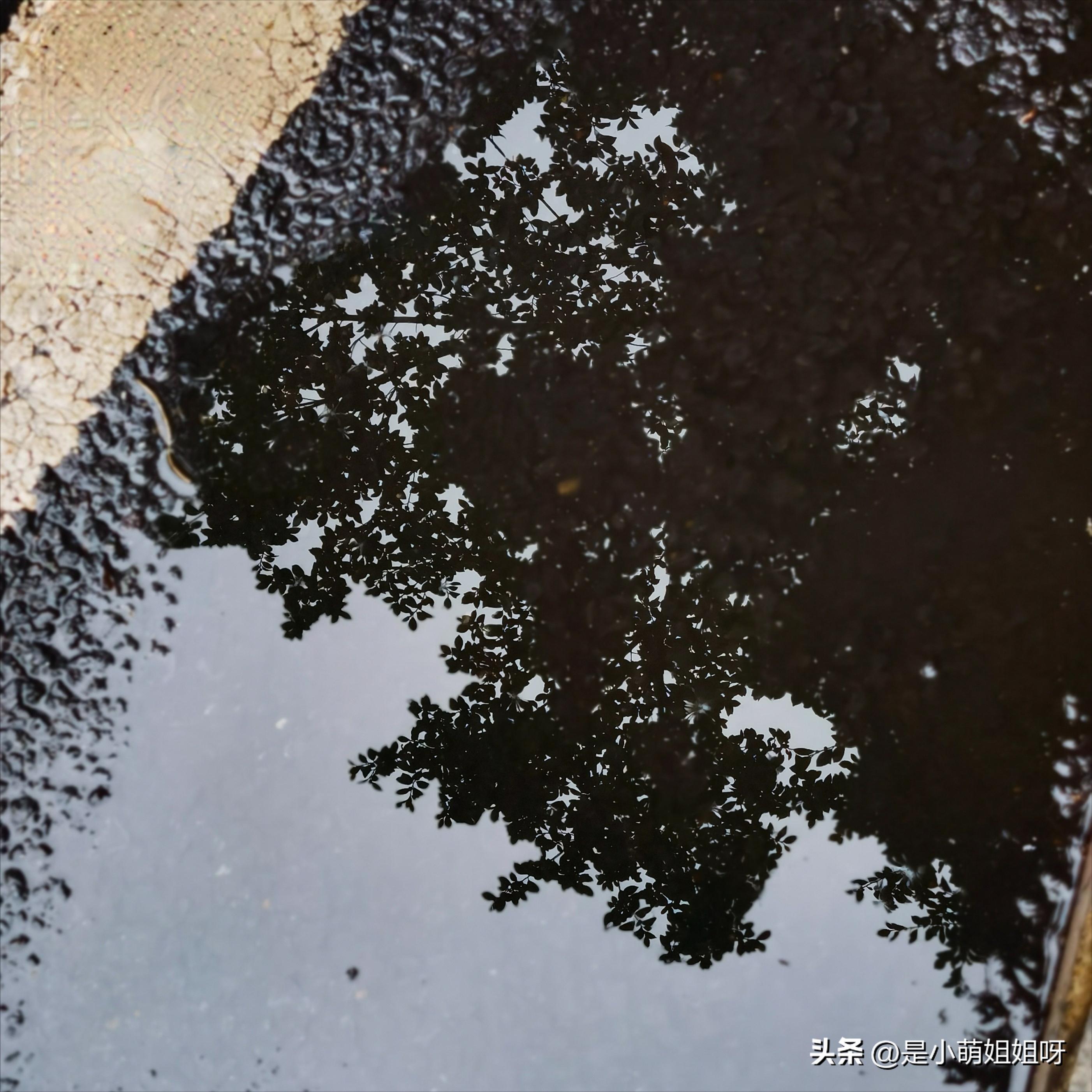 2023已过半,我赚到了19万,原来半年的时间可以做成这么多事