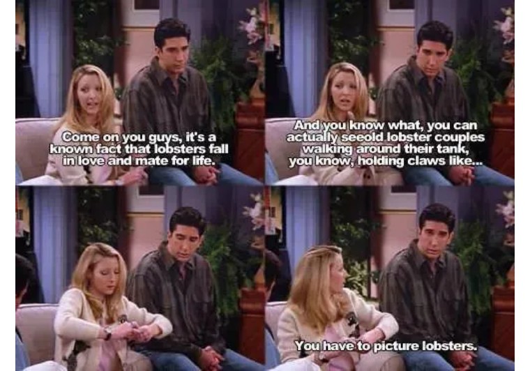 鐧介┈鐜嬪瓙涓嶄竴瀹氶獞鐧介┈鑻辫,鍜岀櫧椹帇瀛愮浉鍏崇殑鑻辫璇嶆眹