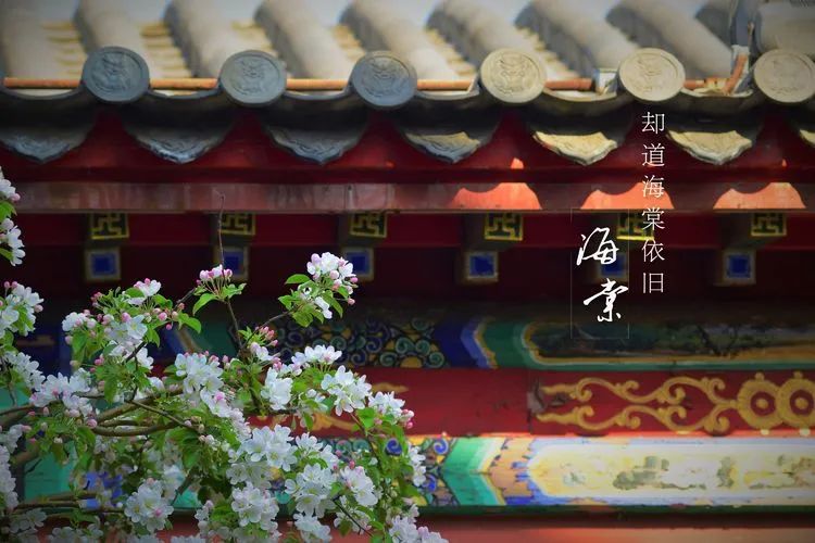 滦州古城都有哪些特色美景,滦州古城江南