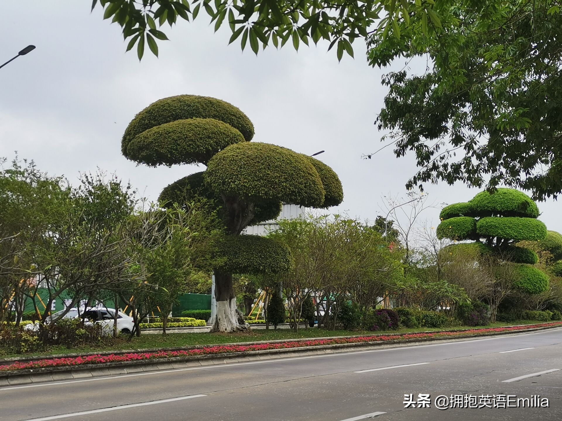 高中英语必修1第1单元单词朗读,人教高一英语必修一第一单词朗读