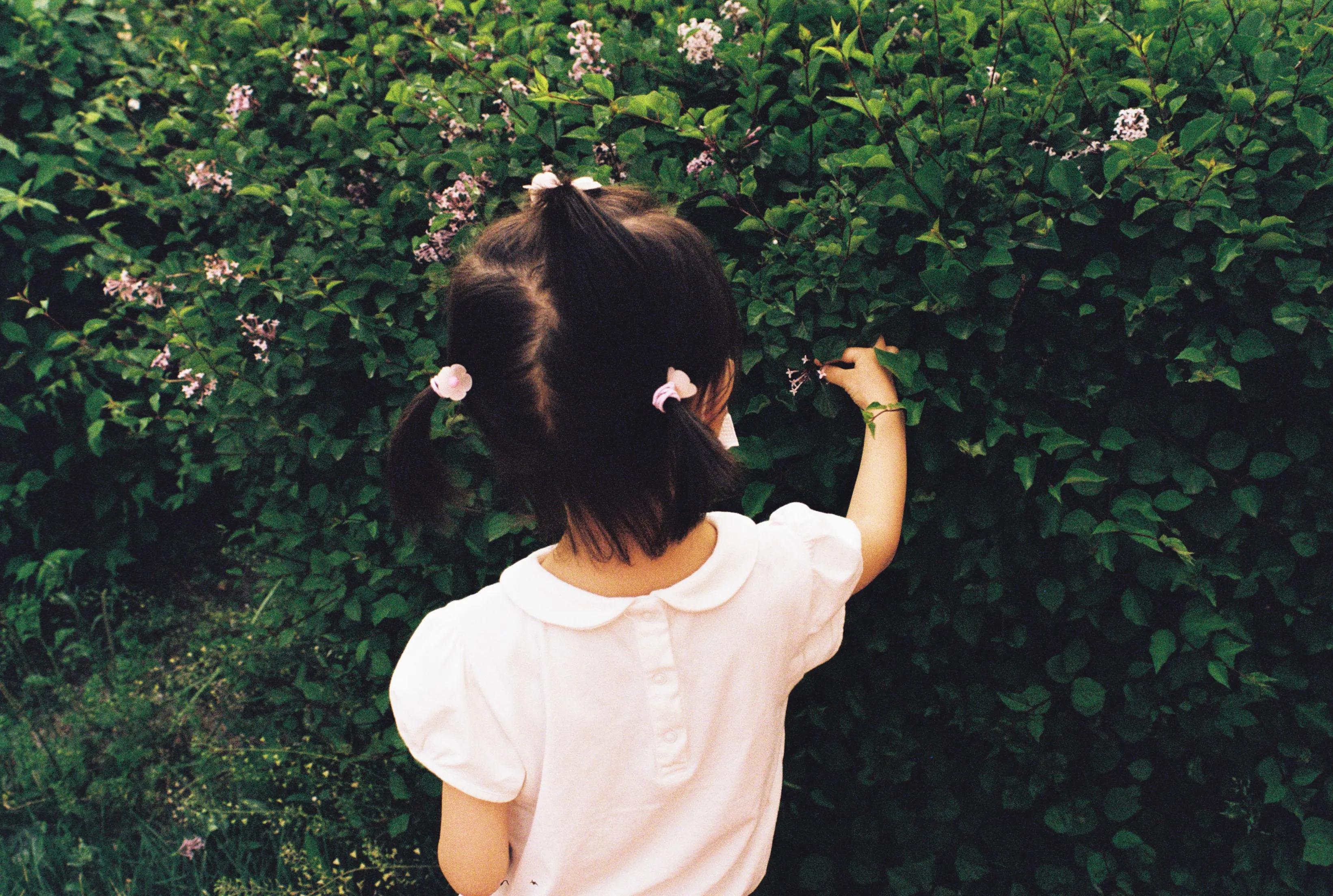 爱克山泰相机所有型号,爱克山泰相机实拍