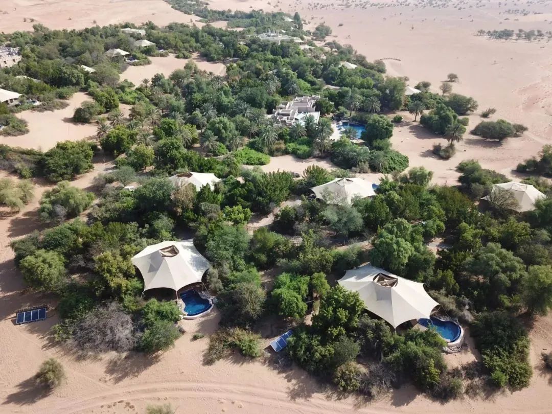 中国最受欢迎的35家顶级野奢酒店,中国最美的十大度假休闲酒店