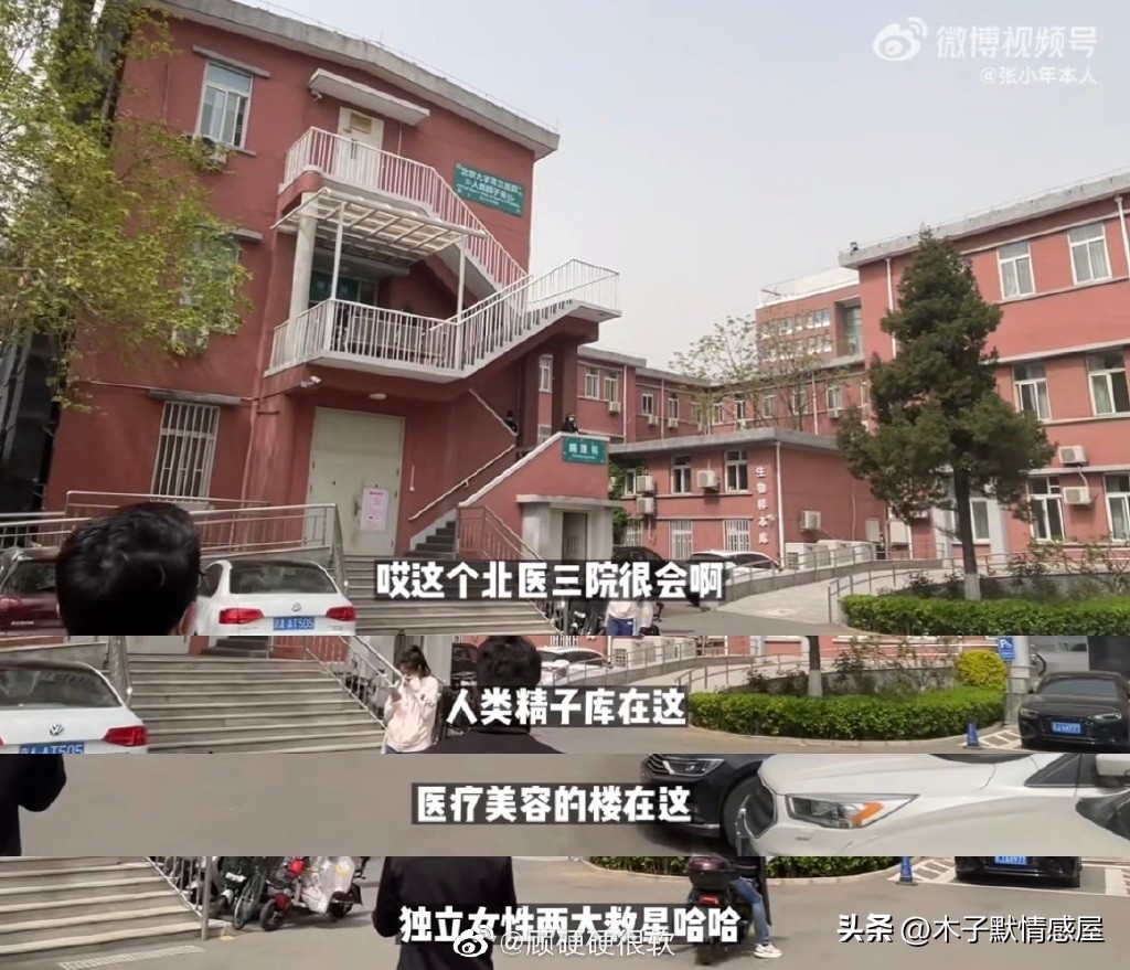 北大全嘻嘻清华张小年，一个为留老公生娃，一个带着男朋友去捐精