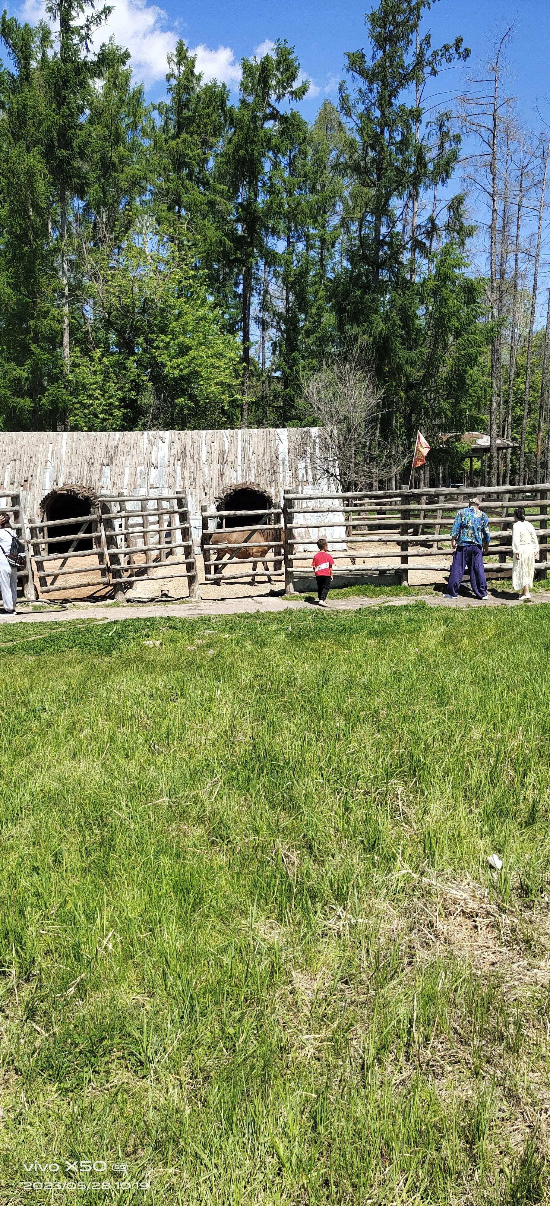 鎵嬫満鍙峰繀椤诲湪鑷繁鍚嶄笅,鍔炵悊鎵嬫満鍙峰繀椤昏鍘绘埛绫嶆墍鍦ㄥ湴