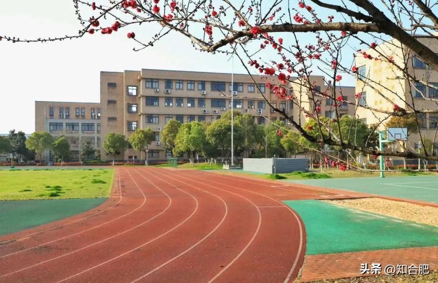 合肥中小学秋季开学报到时间,安徽合肥中小学开学时间最新通知