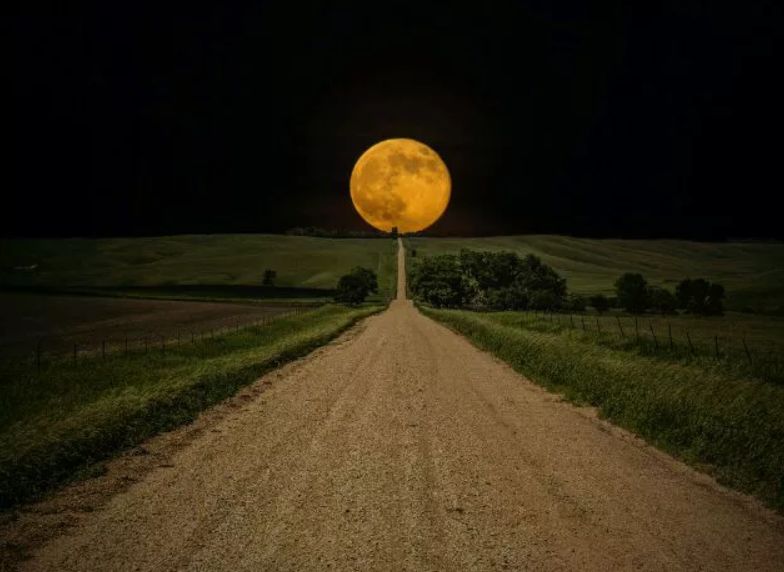 生活没有捷径只能一步一个脚印,生活有捷径