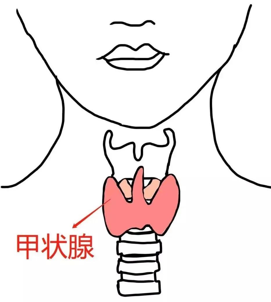 甲状腺结节30x20mm需要怎么处理,查出甲状腺结节别忽视别恐慌