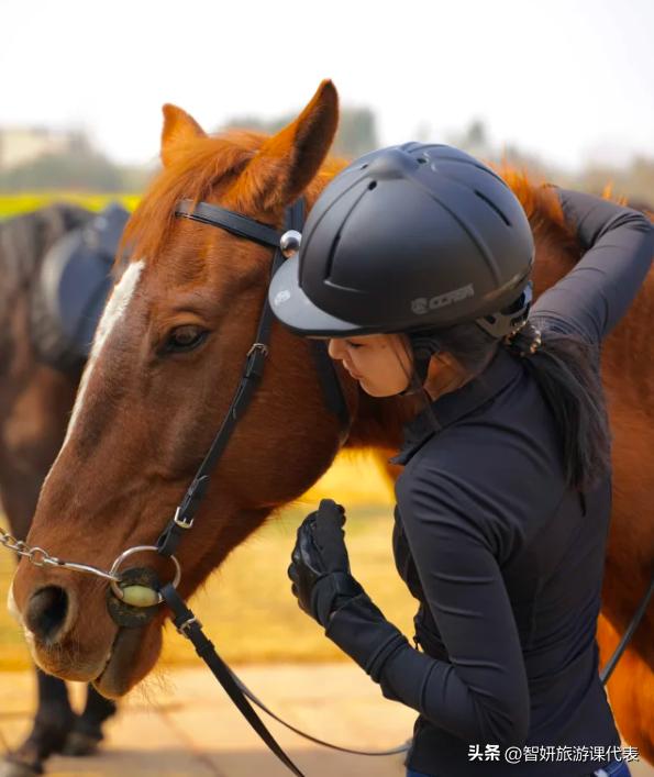 关于巴基斯坦的冷知识有哪些,告诉你一个真实的巴基斯坦