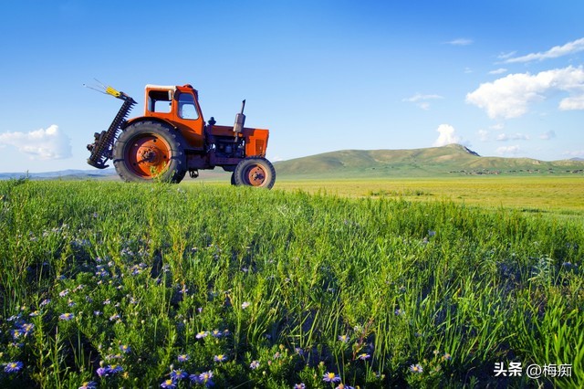 苏北农业补贴2020粮食补贴,农村种植大户粮食补贴每年都补吗