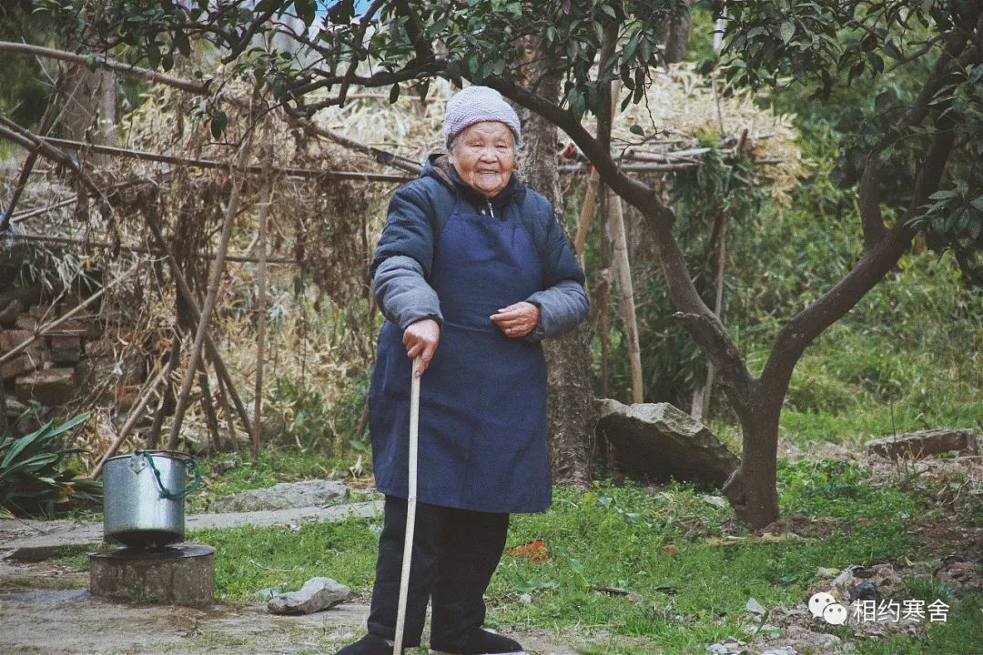 知乎公认最有文采的高考满分作文，每一篇都值得背诵，建议收藏