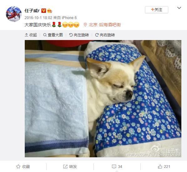 玫斯科普丨冬奥憾失第三金却是爱狗天花板?教你预防“骨科病”