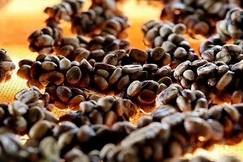 穷人世界你不懂,富人的世界你不懂