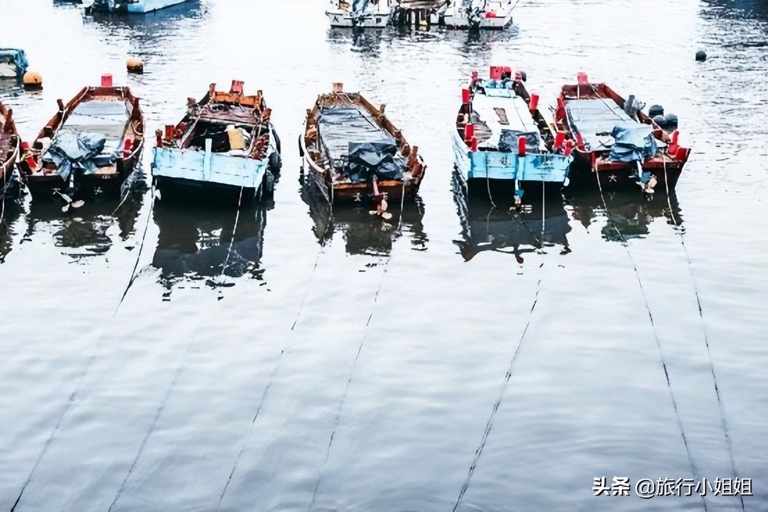 夏日海边微醺氛围感,滨城风光秀丽浪漫气息爆表