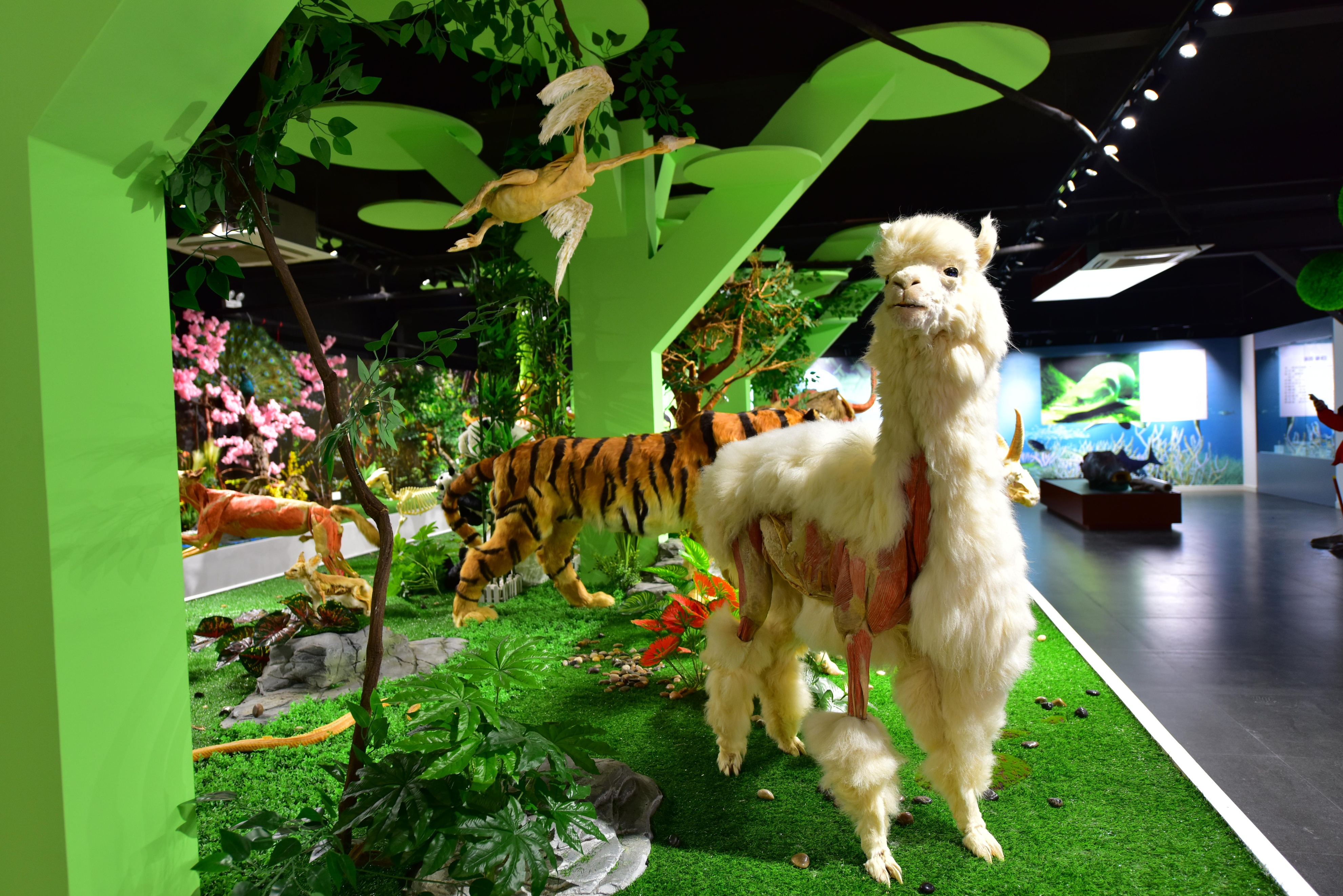 郑州九区遛娃游玩排行榜前十名,郑州遛娃打卡地点推荐