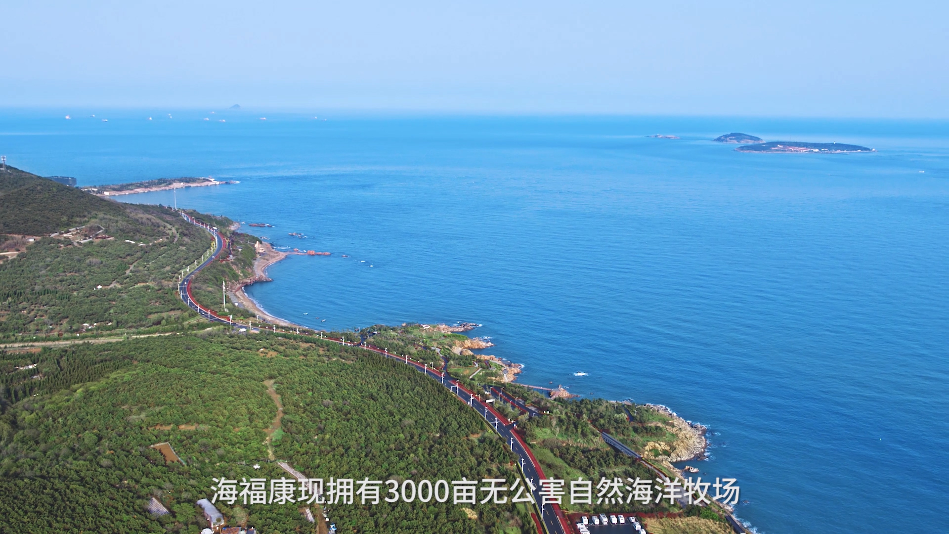 海参的几种美味做法你都会吗,海参简单的几种做法