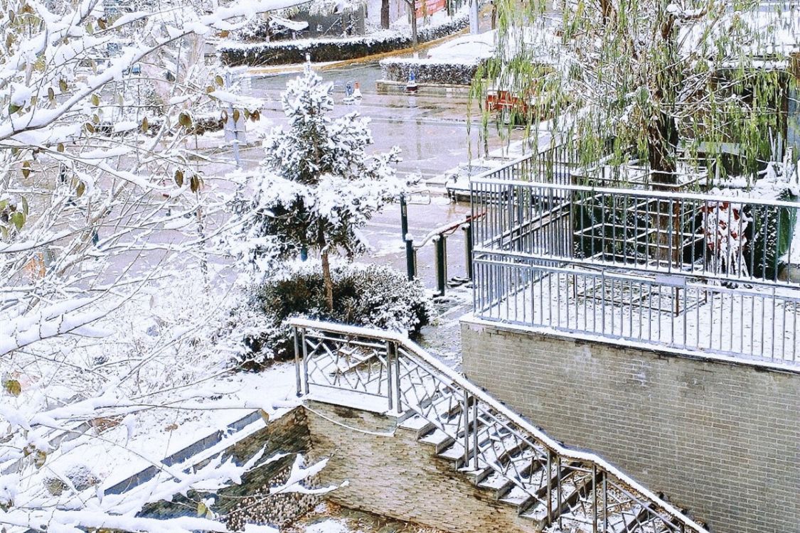 冬天早餐喝什么粥营养又简单,冬天早餐女士喝什么粥最好