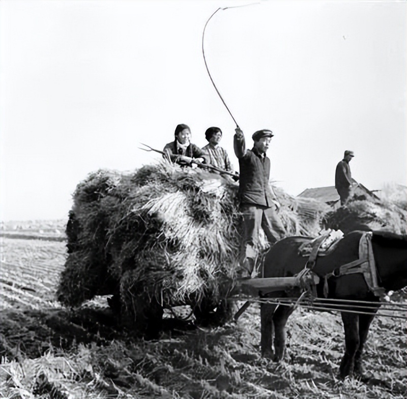 乡村人物传奇：俺们村“破烂王”王铁锤！白手起家演绎创业佳话！