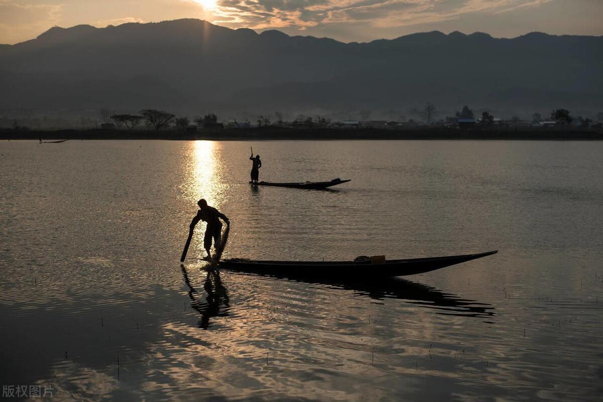 三峡库区最大鲢鳙,三峡水库巨型鲶鱼