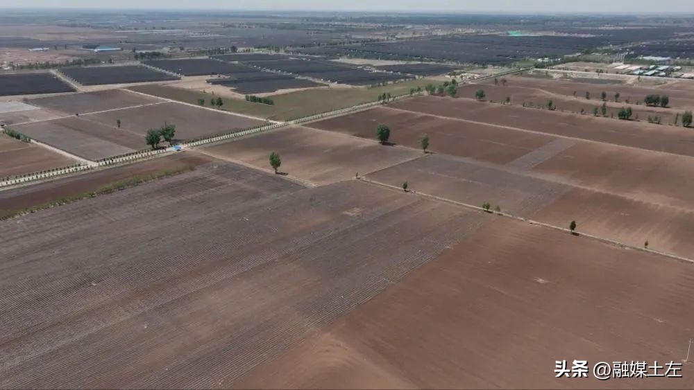 土左旗：数字化的种田模式为春耕注入“智慧基因”