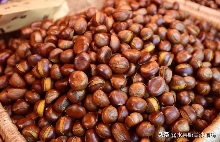 各省特产试吃视频介绍大全,全国各省的特产介绍图片版