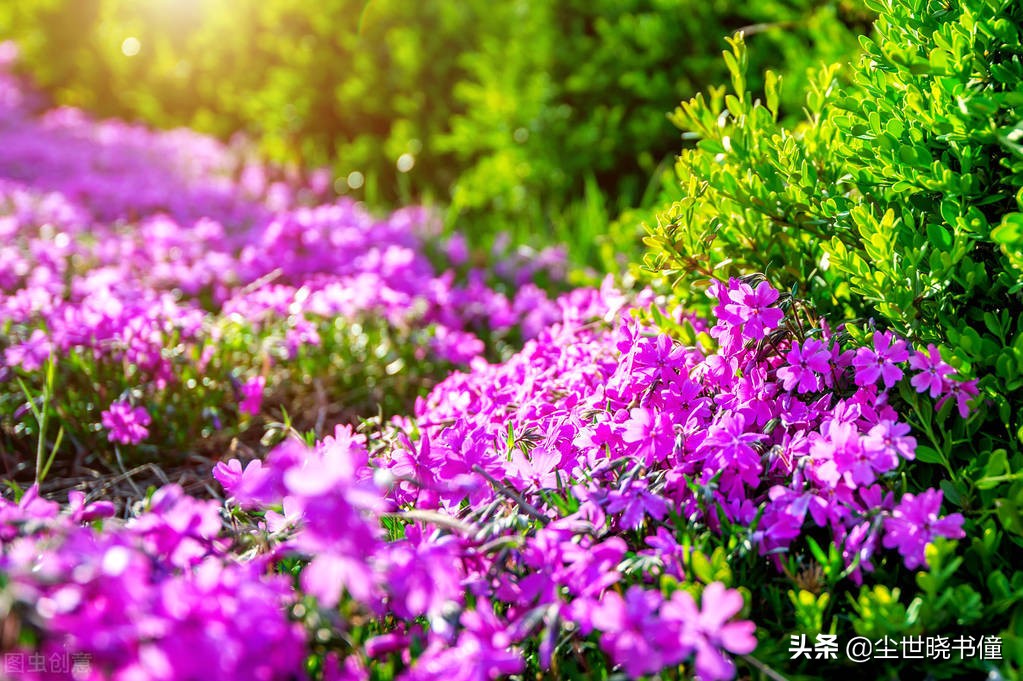 李贺的一生很不幸，过着颠沛流离的生活，创作出来的诗也是很伤感