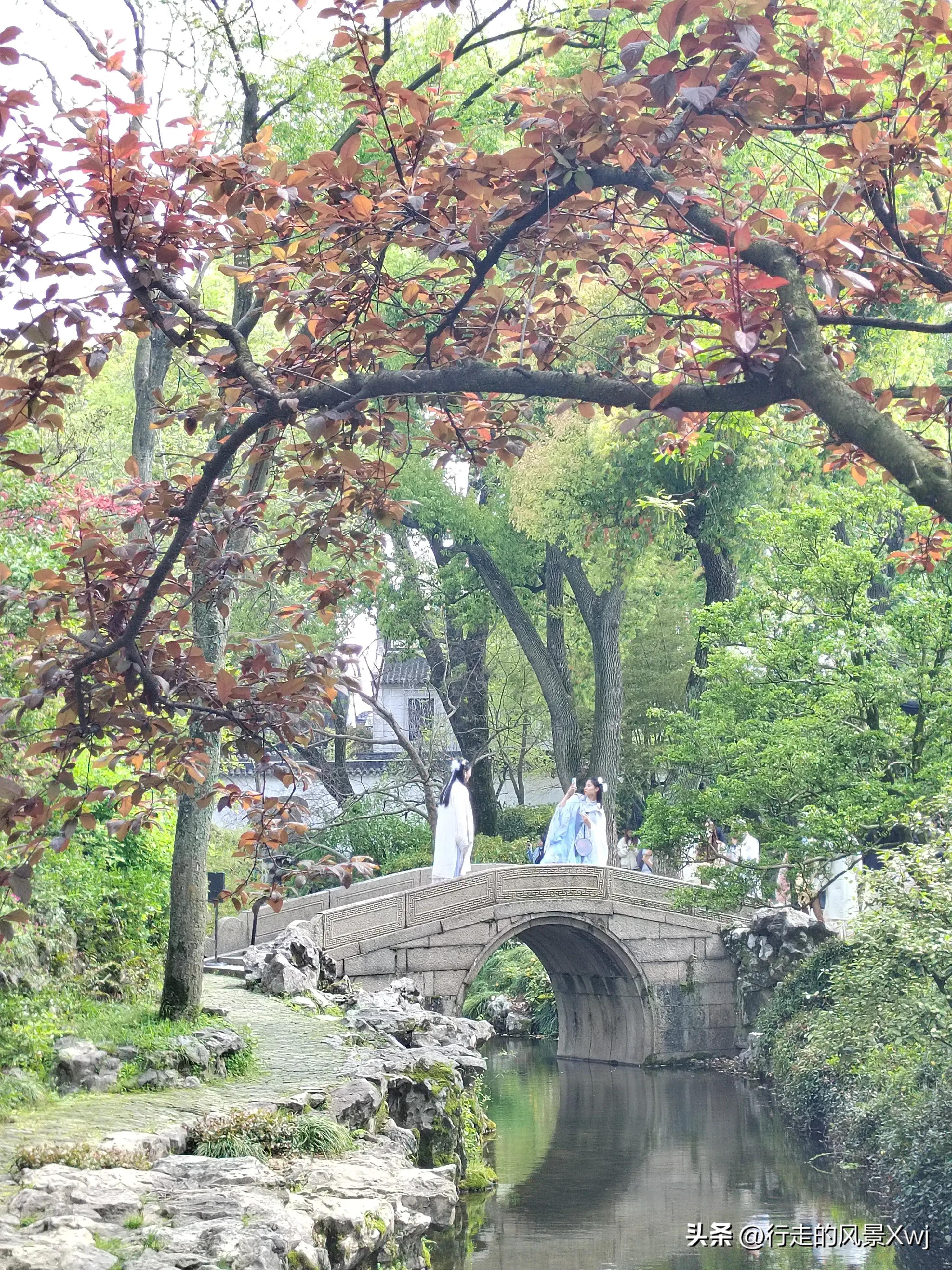 烟花三月下江南猜生肖,苏州江南农耕文化园烟花