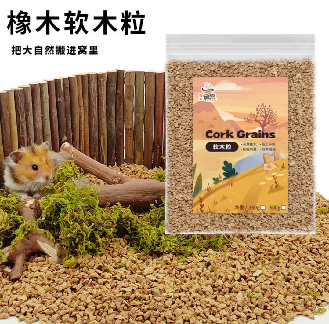 适合新手养的宠物龙猫,养一只可爱的龙猫