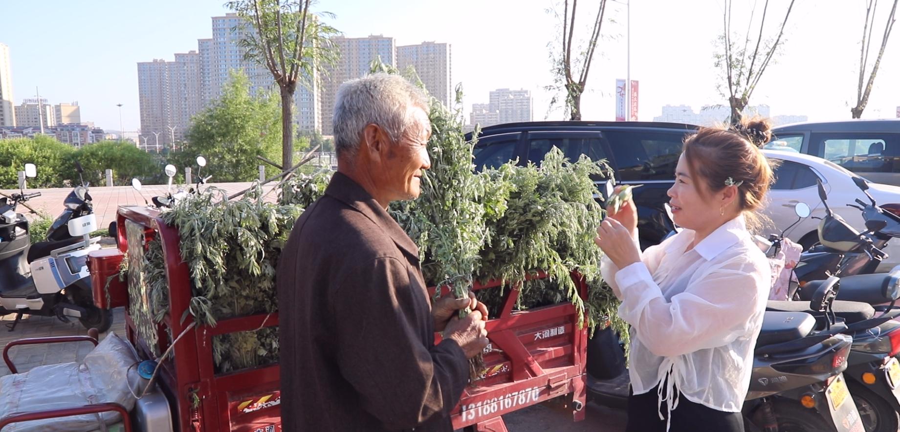 端午节艾草节,五月端午艾草香