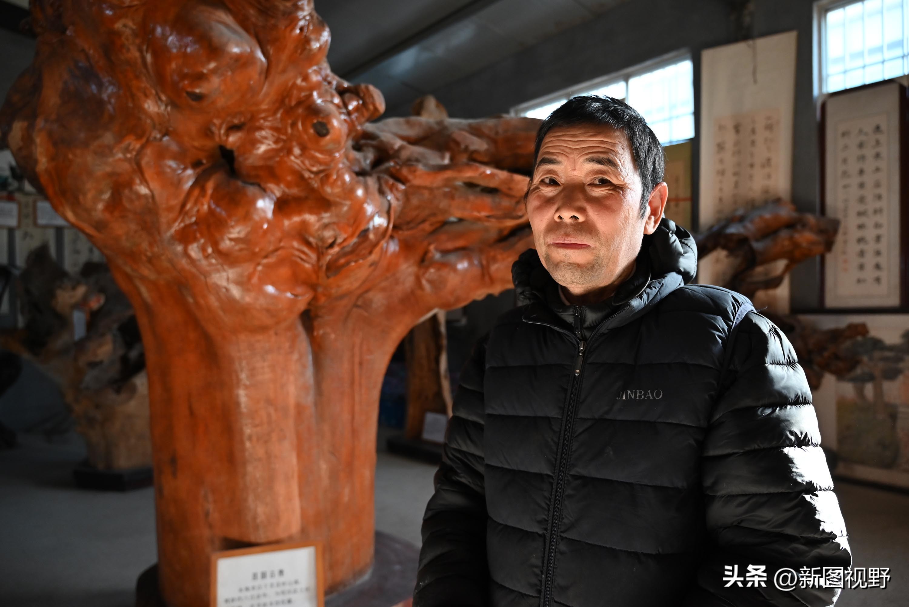 55岁农民，花60万买了一堆古树，每天做着发财梦，睡到自然醒