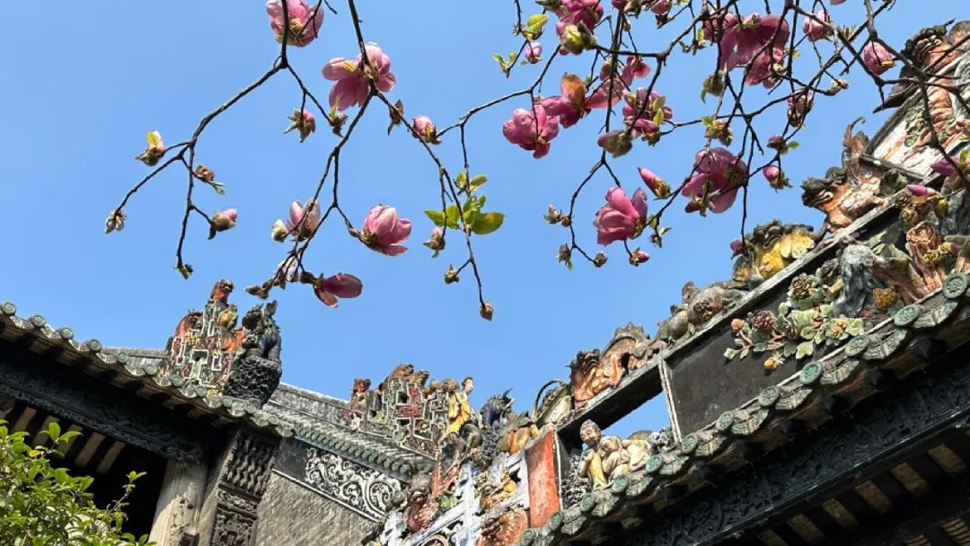 春天出游好物推荐,10件踏青好物