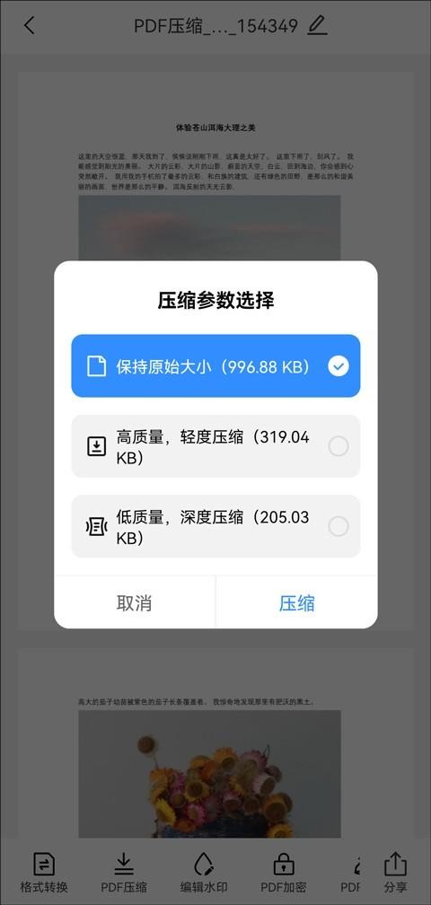 adobepdf如何压缩大小,pdf太大怎么压缩大小