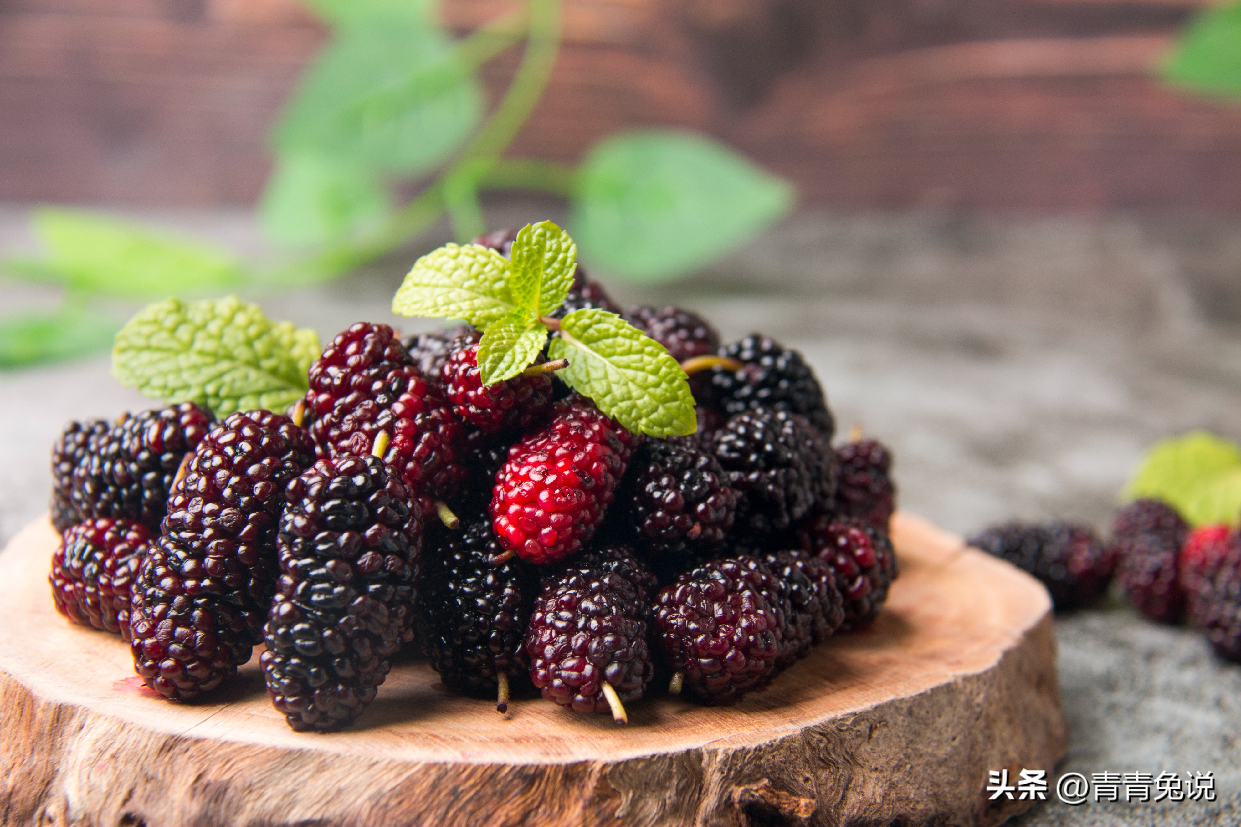 春季多吃这5种菜帮助孩子长得高,孩子常吃这几种水果营养健康成长